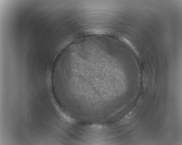 X0000071760394200607150008