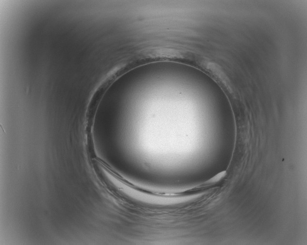 X0000071760395200607150008