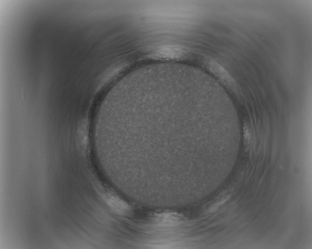 X0000071760396200607150008