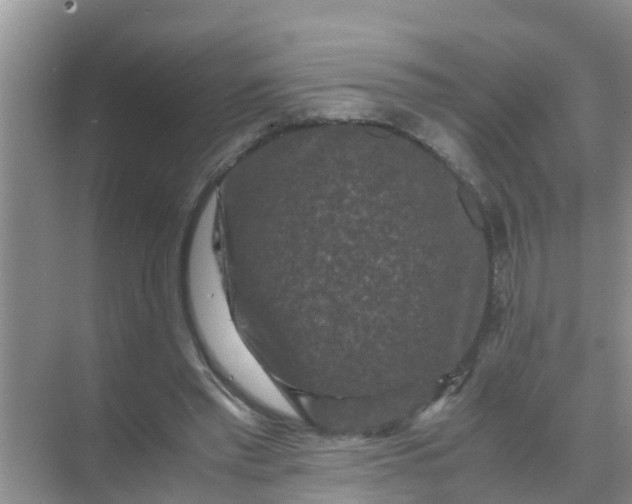 X0000071760397200607150008