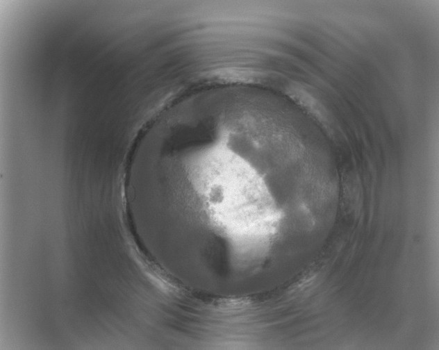 X0000071760398200607150008