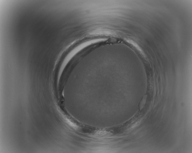 X0000071760399200607150008