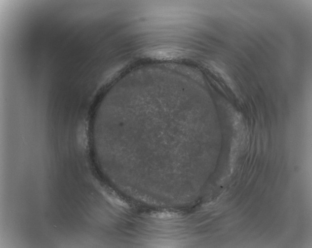 X0000071760400200607150008