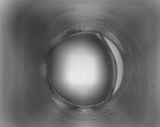 X0000071760401200607150008