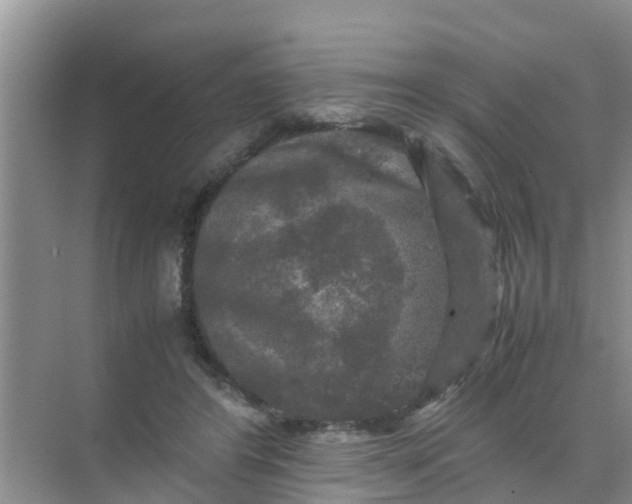 X0000071760404200607150007