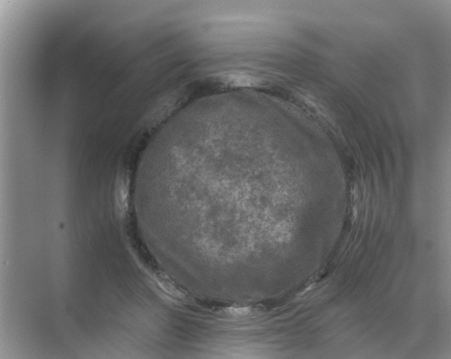 X0000071760406200607150007