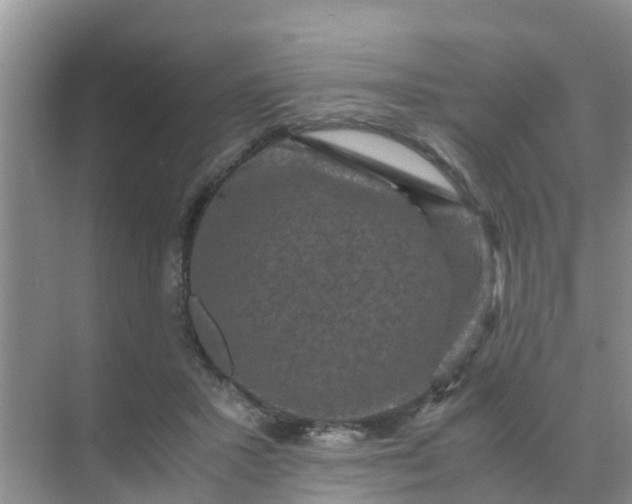 X0000071760407200607150007