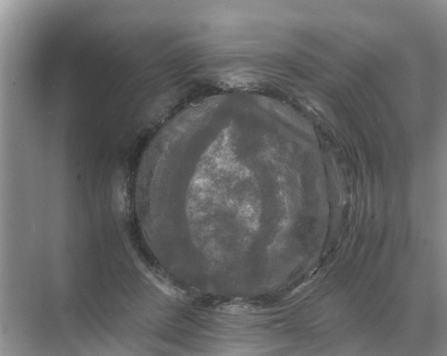 X0000071760408200607150007