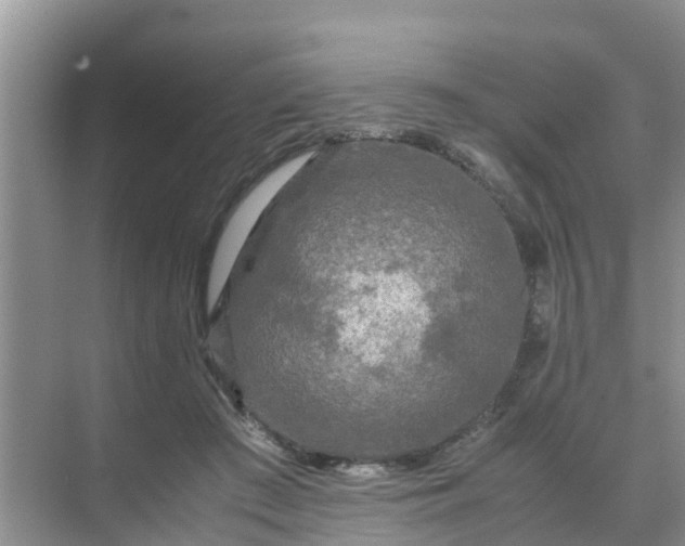 X0000071760409200607150007