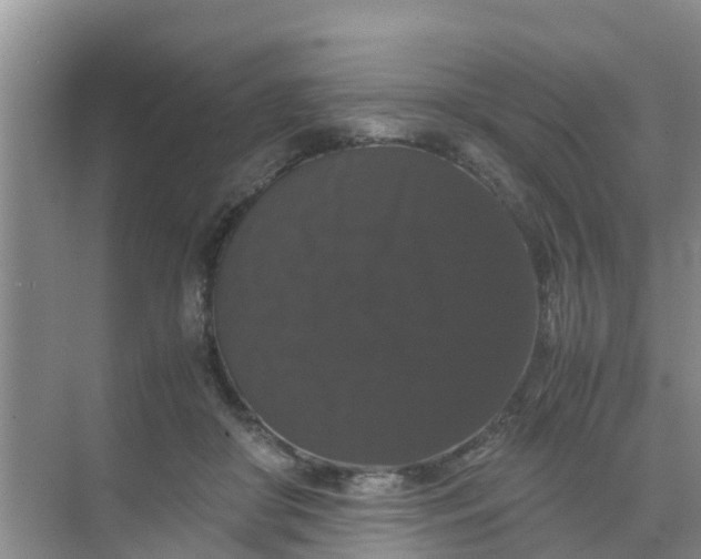 X0000071760410200607150007