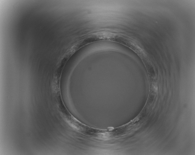 X0000071760411200607150007