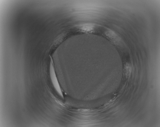 X0000071760412200607150007