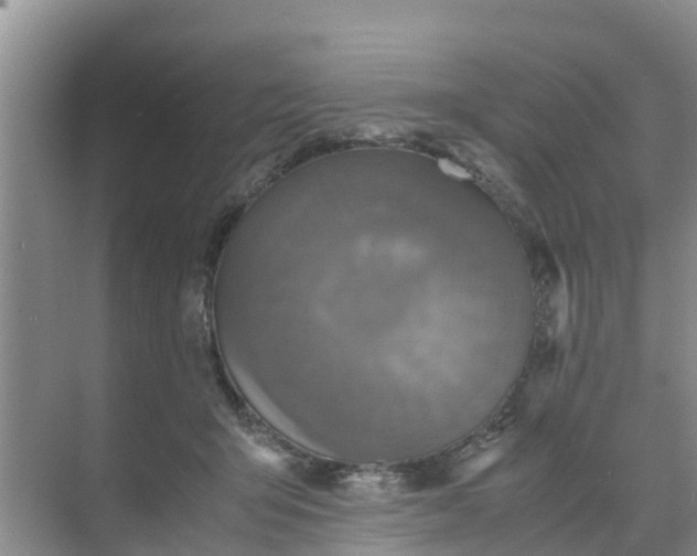 X0000071760415200607150007