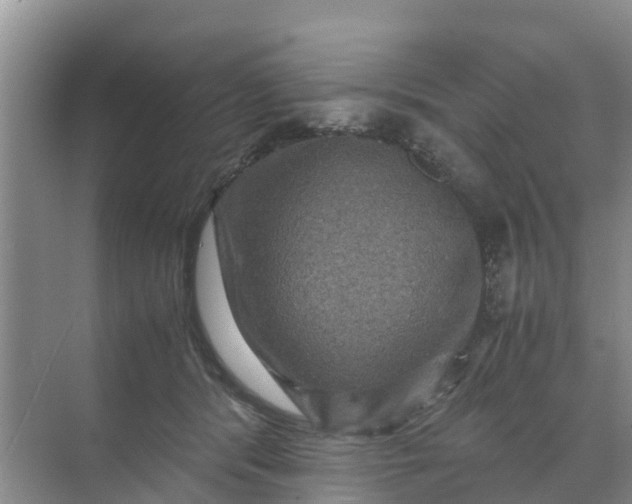 X0000071760416200607150007