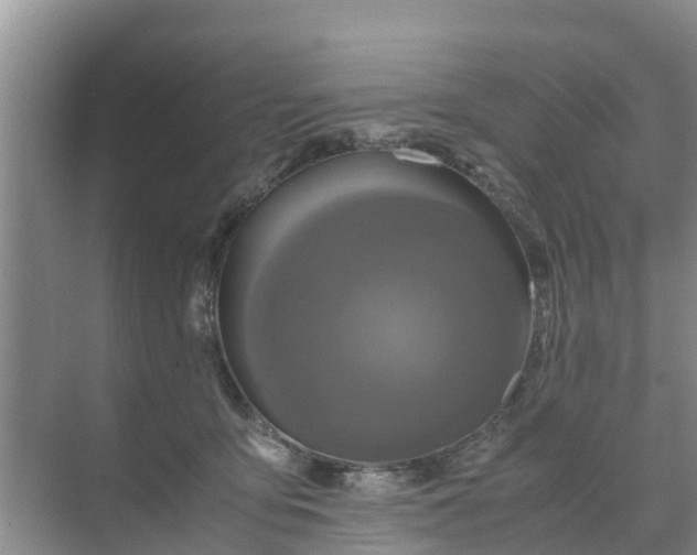 X0000071760419200607150007