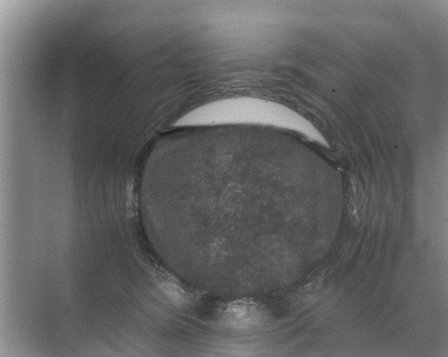 X0000071760420200607150007