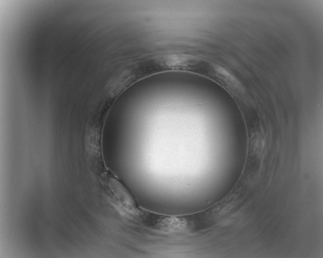 X0000071760421200607150007