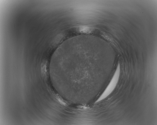 X0000071760424200607150007