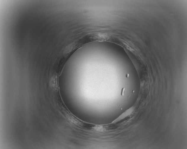 X0000071760425200607150007