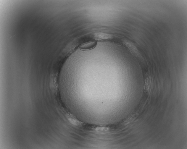 X0000071760426200607150007