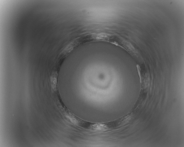 X0000071760427200607150007