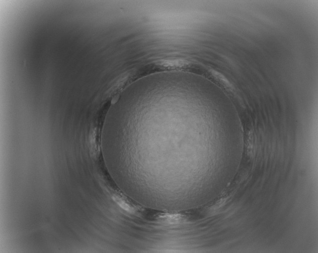 X0000071760428200607150007