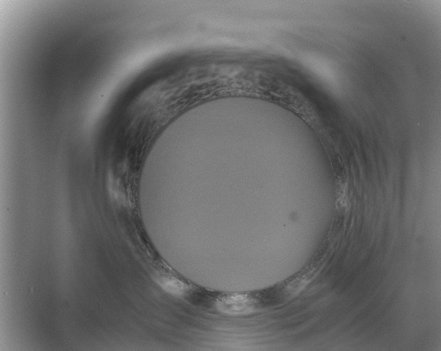 X0000071760431200607150007