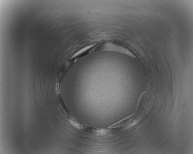 X0000071760432200607150007