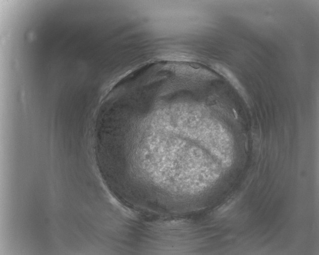 X0000071760433200607150006