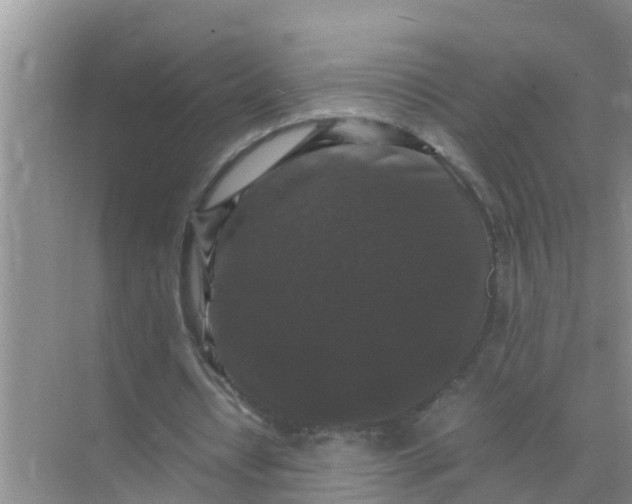 X0000071760434200607150006