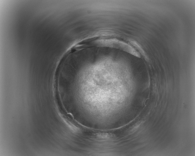 X0000071760439200607150006