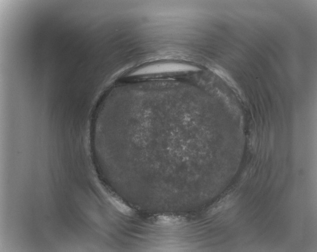 X0000071760442200607150006