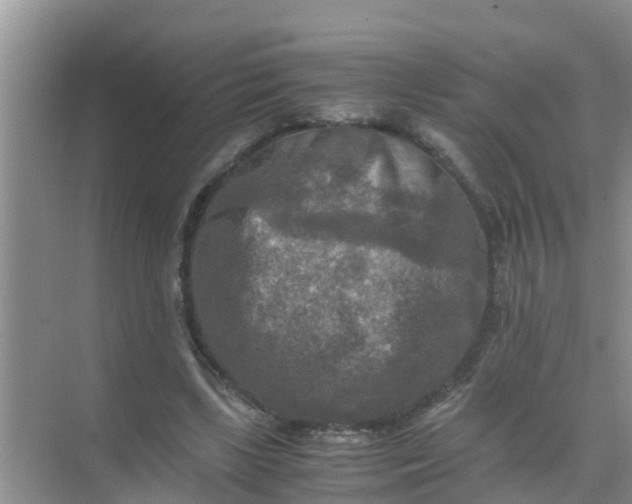 X0000071760443200607150006