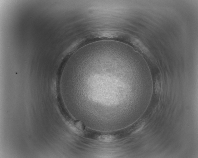 X0000071760444200607150006