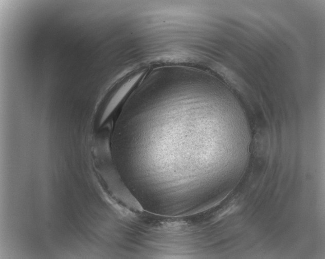 X0000071760446200607150006