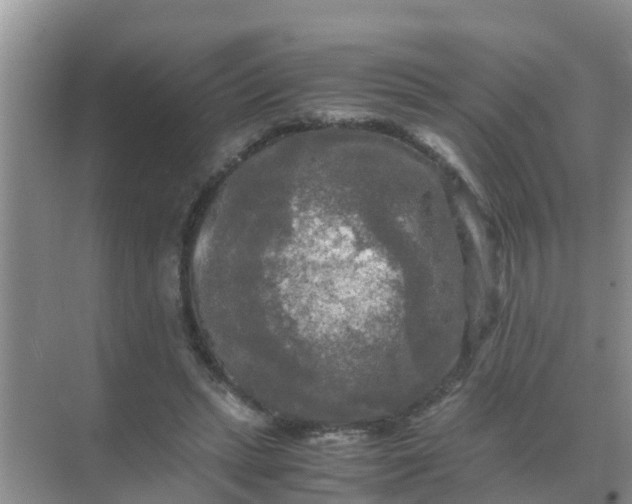 X0000071760447200607150006