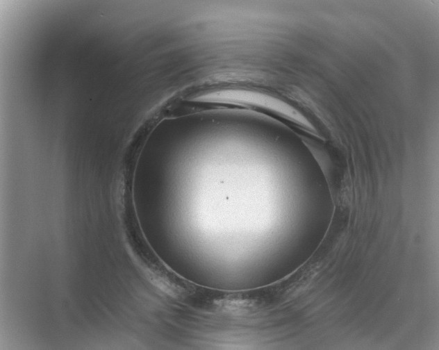 X0000071760448200607150006