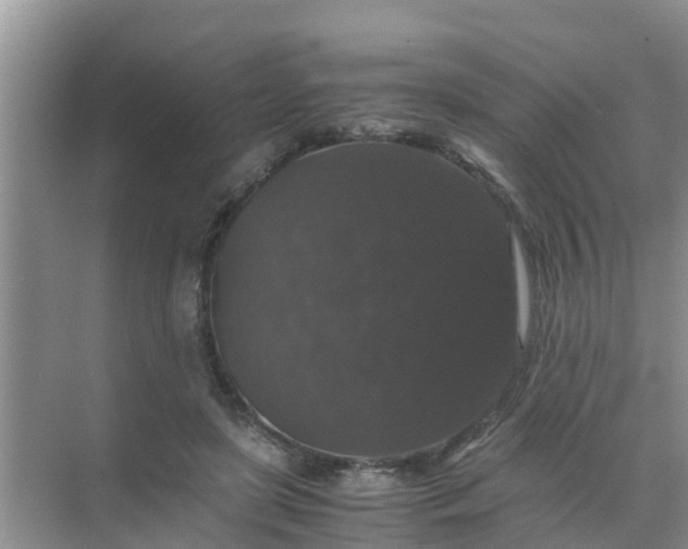 X0000071760451200607150006