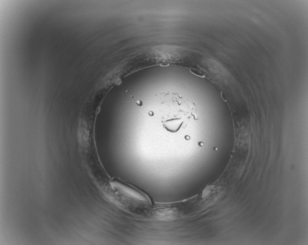 X0000071760456200607150007