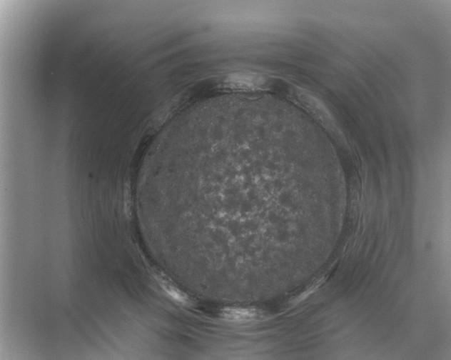 X0000071760457200607150007