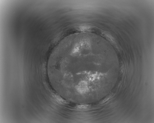 X0000071760461200607150007