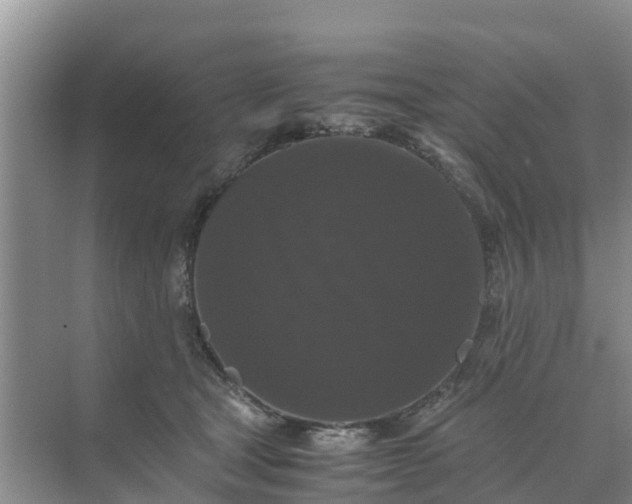 X0000071760465200607150007