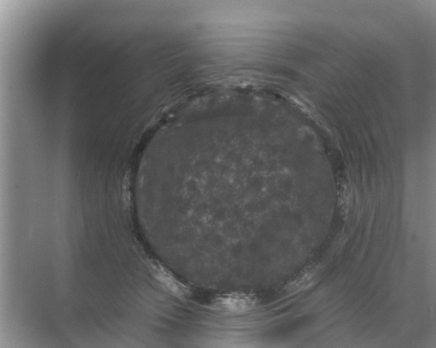 X0000071760466200607150007