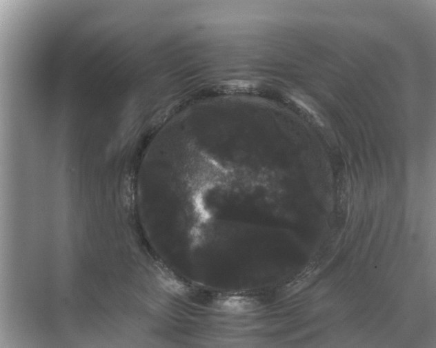 X0000071760467200607150007