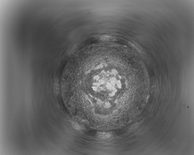 X0000071760469200607150007