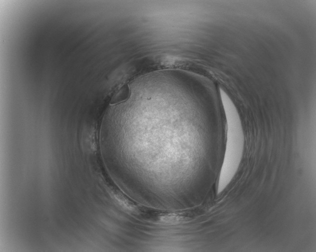 X0000071760470200607150007