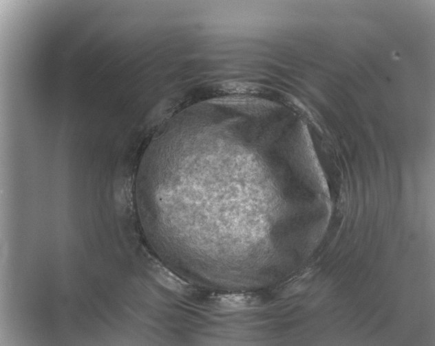 X0000071760473200607150007