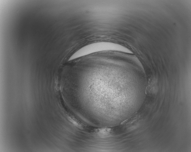 X0000071760474200607150007