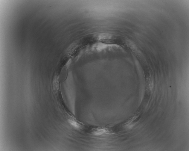 X0000071760475200607150007