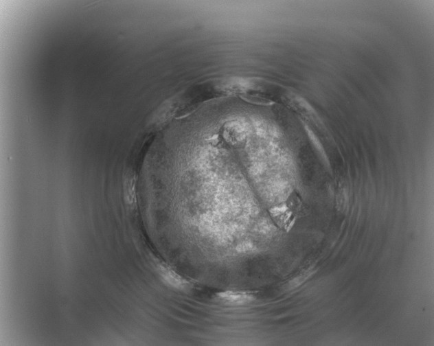 X0000071760477200607150007